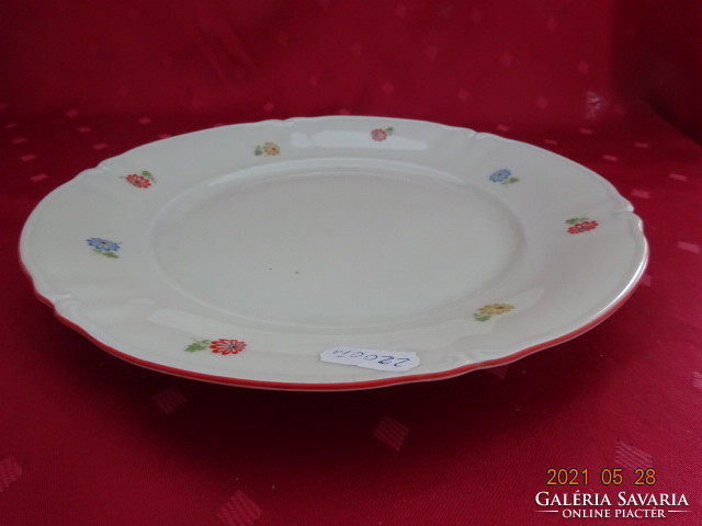 German porcelain, antique, floral flat plate, diameter 24 cm. He has!