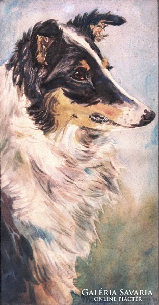Margit jelzéssel: Kutyaportré, 1909.  május - akvarell, eredeti keretezésben