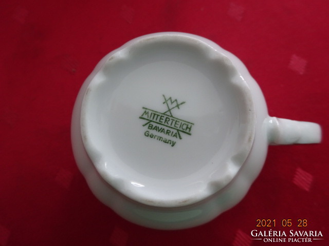 Mittertek bavaria german porcelain, white teacup. He has!