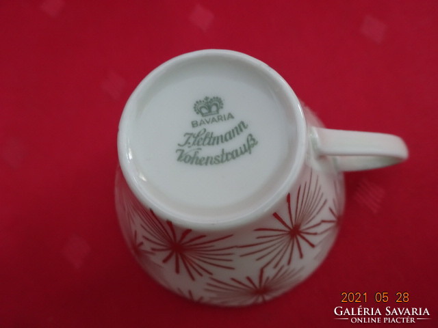 Seltmann Vohenstraus Bavaria német porcelán kávéscsésze, Tauplitzalm - emlék Vanneki!