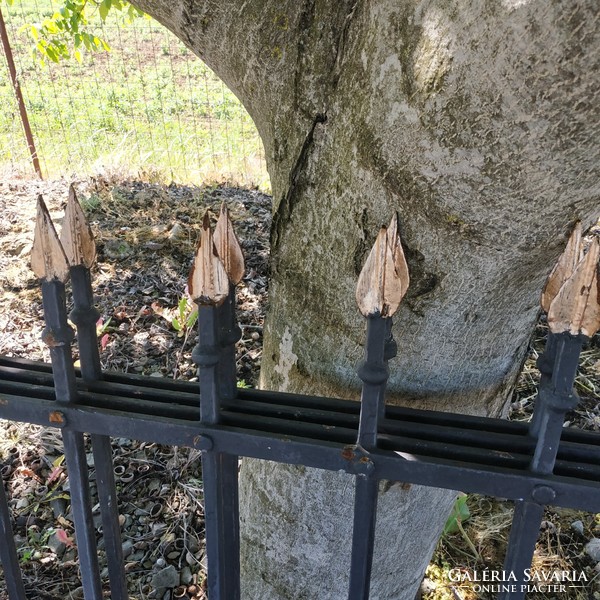 Spear wrought iron fence