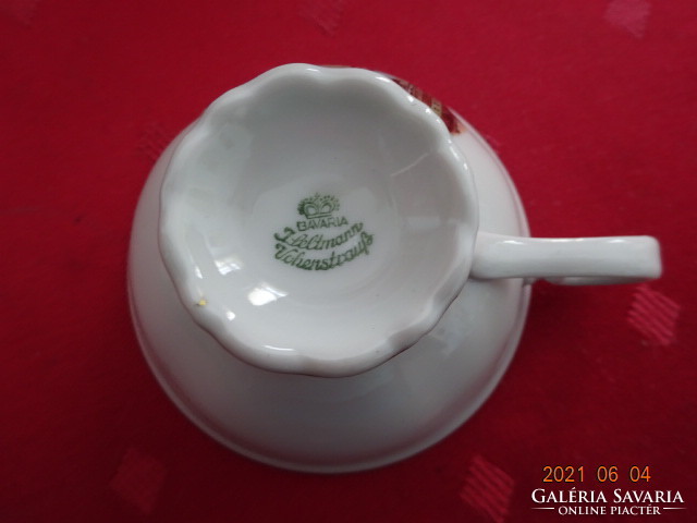 Seltmann Vohenstraus Bavaria német porcelán kávéscsésze, Innsbrucki emlék.