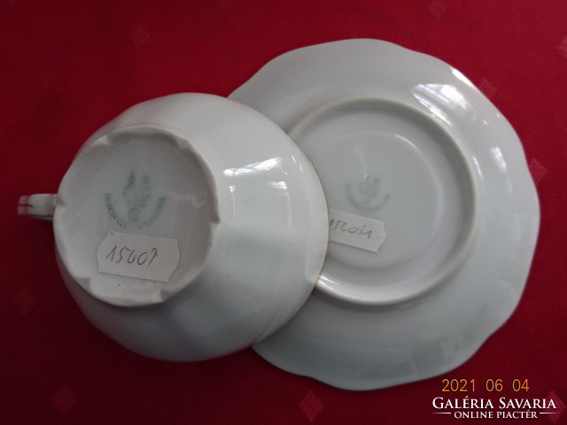 Hc Czechoslovak porcelain, antique teacup + placemat, gold trim. He has!