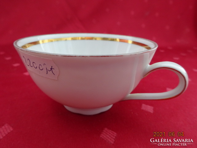 Nora seltmann weiden bavaria quality german porcelain teacup with gold border. He has!