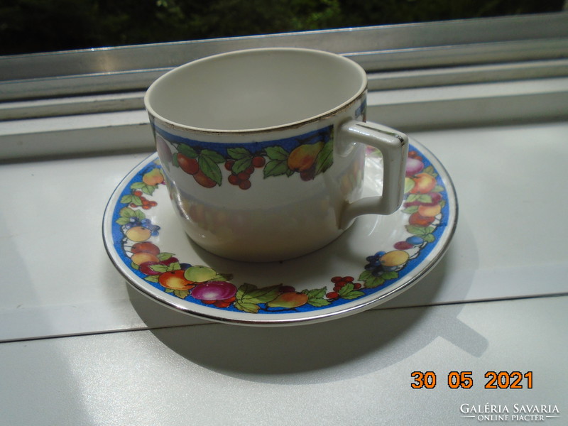 Zsolnay shield-stamped, platinum decorative strip, fruit-patterned tea cup with saucer