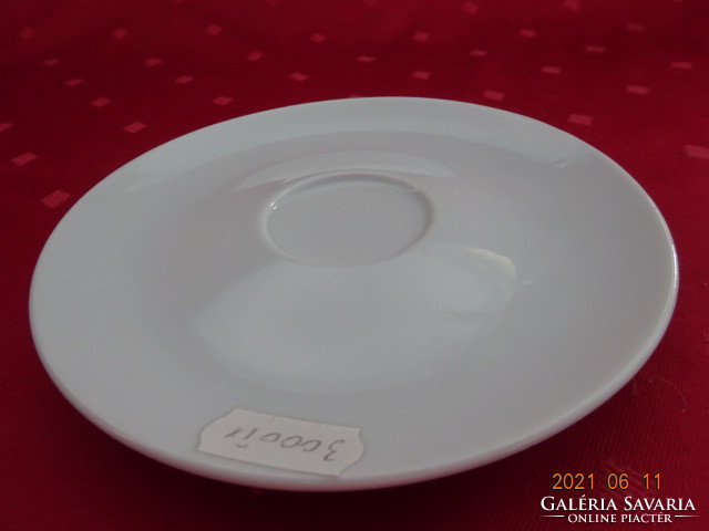 Richard Ginori Italian porcelain coffee cup coaster, diameter 14.5 cm. He has!