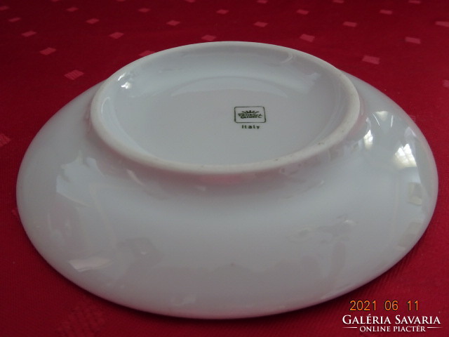 Richard Ginori Italian porcelain coffee cup coaster, diameter 14.5 cm. He has!