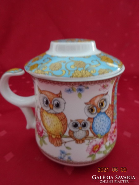 Chinese porcelain tea mug with lid and owl pattern. Queen isabell english collection. He has!