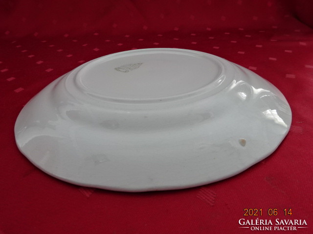 Granite Hungarian porcelain, white flat plate, diameter 23 cm. He has!