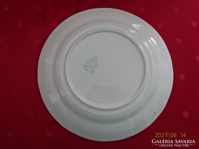 Granite Hungarian porcelain, white flat plate, diameter 23 cm. He has!