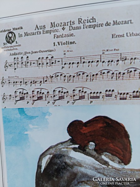 Mozarts- Serenade