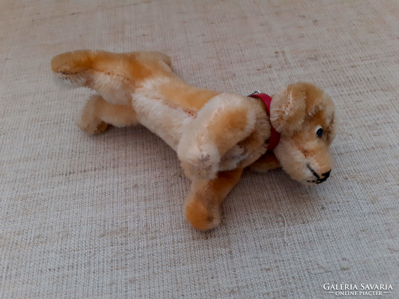 Old mohair small dachshund with heart markings in good condition