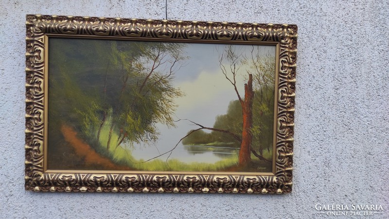 Solymos tamàs, a contemporary painting, a landscape, a modern work! The work of Suzyongsziget, in a beautiful gilded frame!