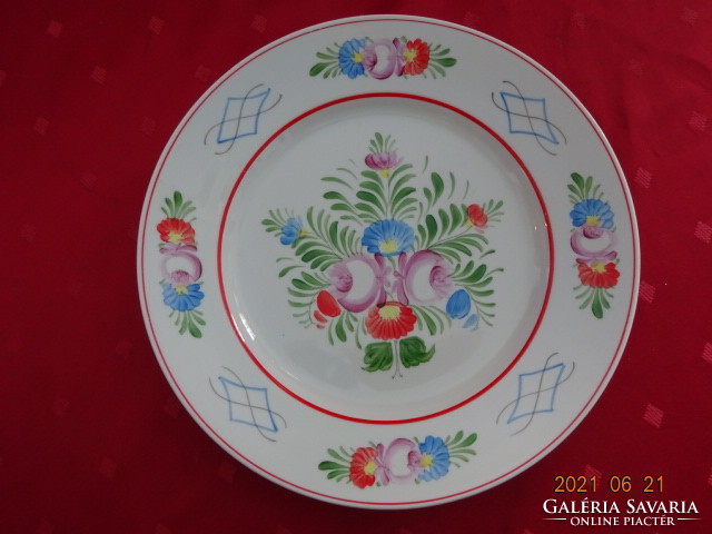 Hollóház porcelain, hand-painted wall plate - flat plate, diameter 24 cm. He has!