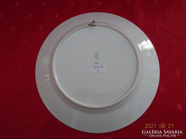 Hollóház porcelain, hand-painted wall plate - flat plate, diameter 24 cm. He has!