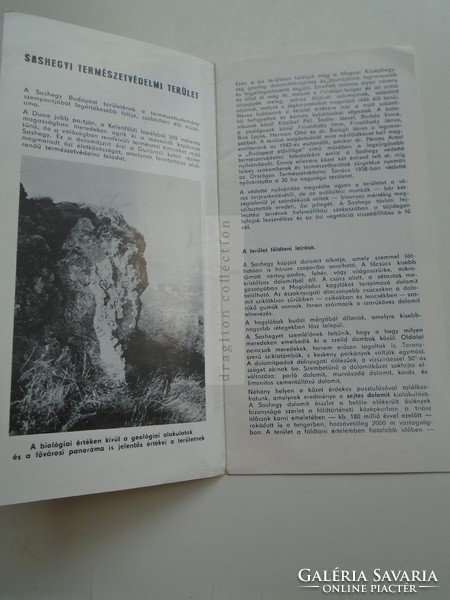 G2021.71 SASHEGYI Természetvédelmi Terület  Sashegy  1978