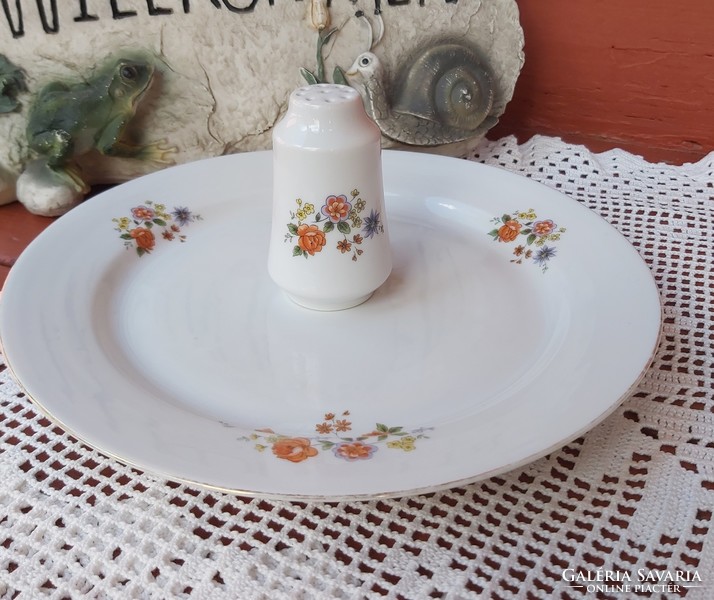 Alföldi porcelain 24 cm diameter flat plate, plate, salt shaker nostalgia piece