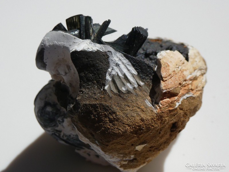 Természetes Vivianit kristályok megkövesedett tengeri kagylóban. Ritka ásványgyűjteményi darab. 75 g