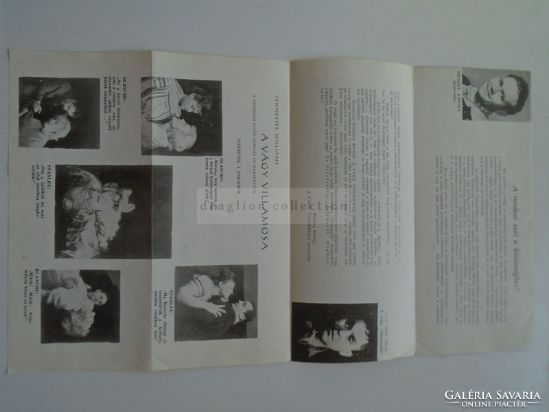 G2021.111 VESZPRÉM Petőfi Színház -Tennessee Williams A Vágy villamosa  1960k   leporelló