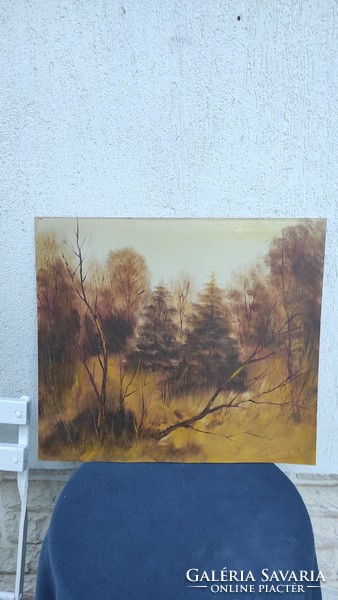 Feriencsik Àrpàd alkotás festmény, modern, festmény, Zsűrizett,az erdő sűrűjében,a mű címe