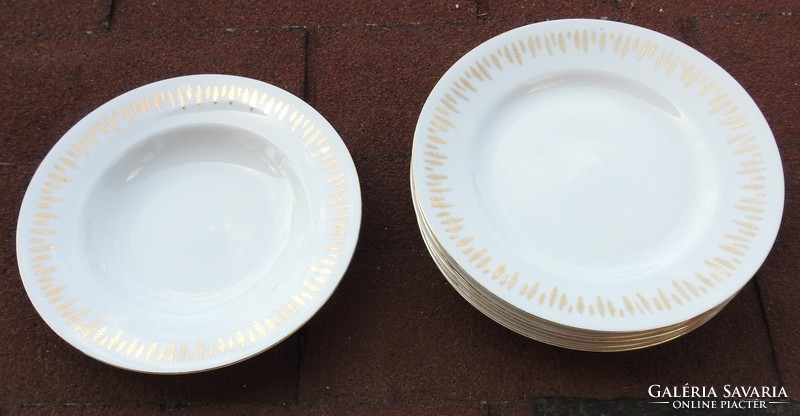 Vintage Czechoslovak gold-painted plate set
