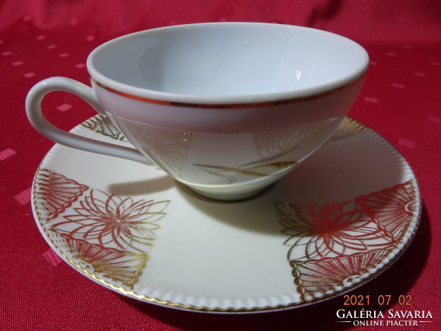 Tk thun Czechoslovak first-class porcelain teacup with other placemat. He has!