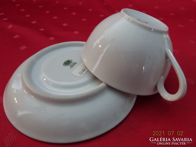 Seltmann Weiden Bavaria német porcelán teáscsésze, más alátéttel. Vanneki!