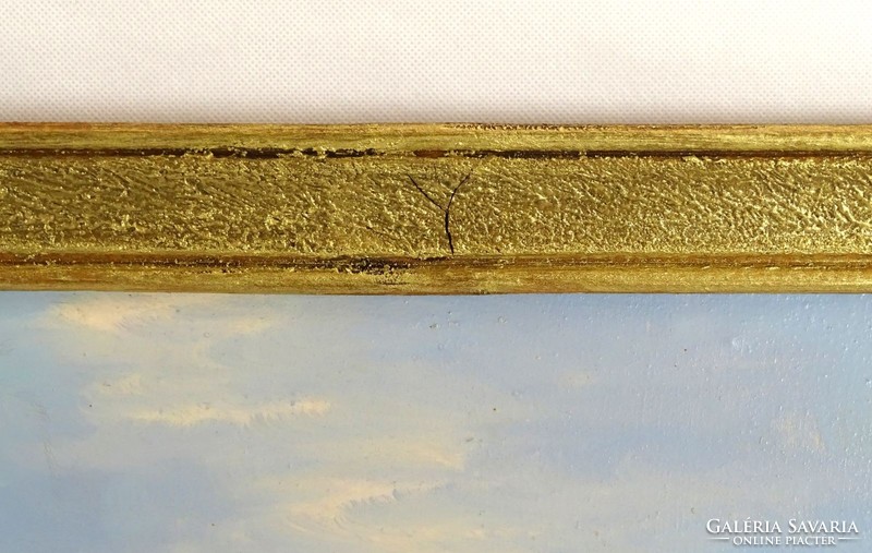 1D935 XX. századi festő : Kárpátok vízimalommal