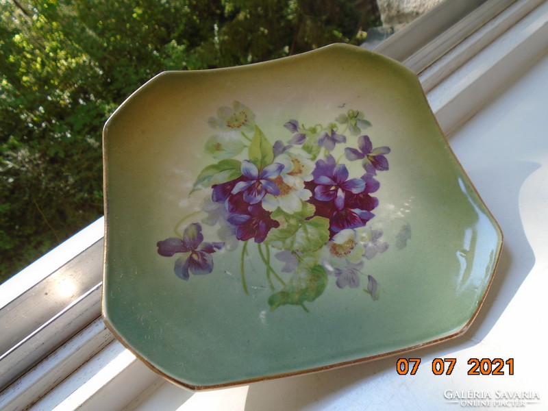 Antique English painting violet plate