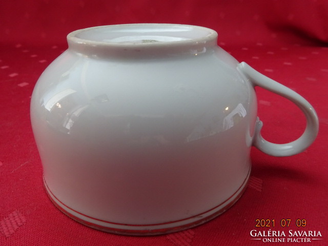 Schiending Bavaria minőségi német porcelán teáscsésze, átmérője 10,5 cm. Vanneki!