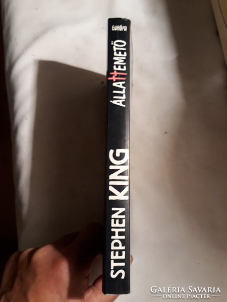 Stephen King: Animal Cemetery c. Book