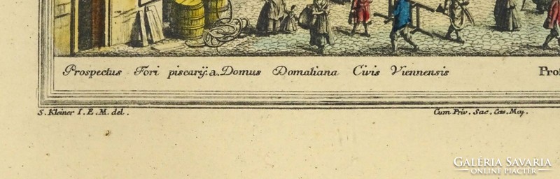 1F320 Johann August Corvinus : Domus domaliana civis Viennesis
