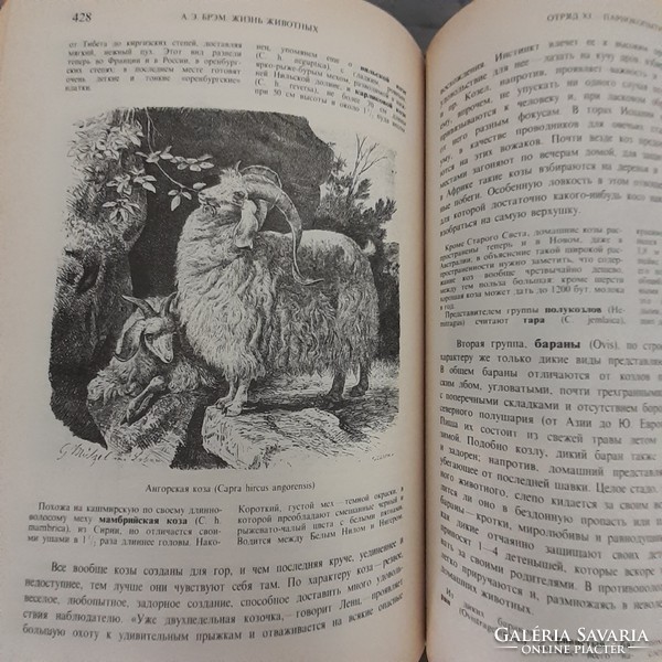 Brem Alfréd: Az állatok világa  3 .kötet orosz nyelven
