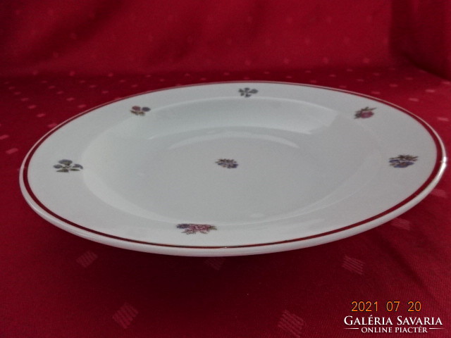 Zsolnay porcelain, six-piece deep plate, diameter 23 cm. He has!