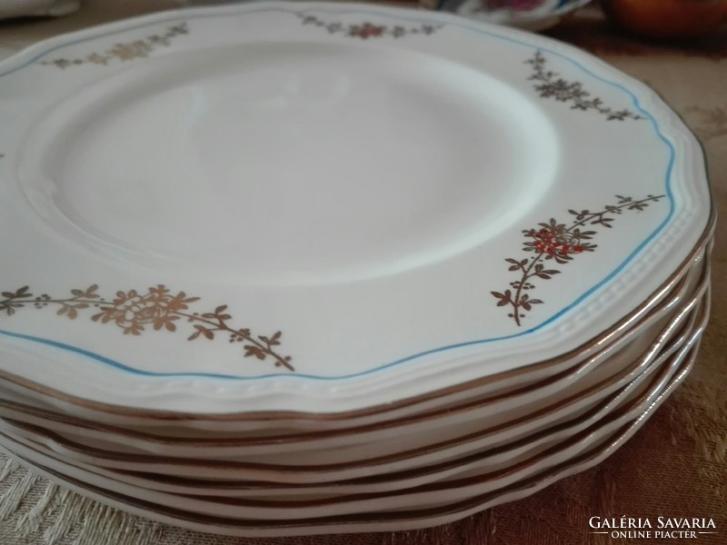 6 antique English Alfred Meakin 22.5 Cm flat plates