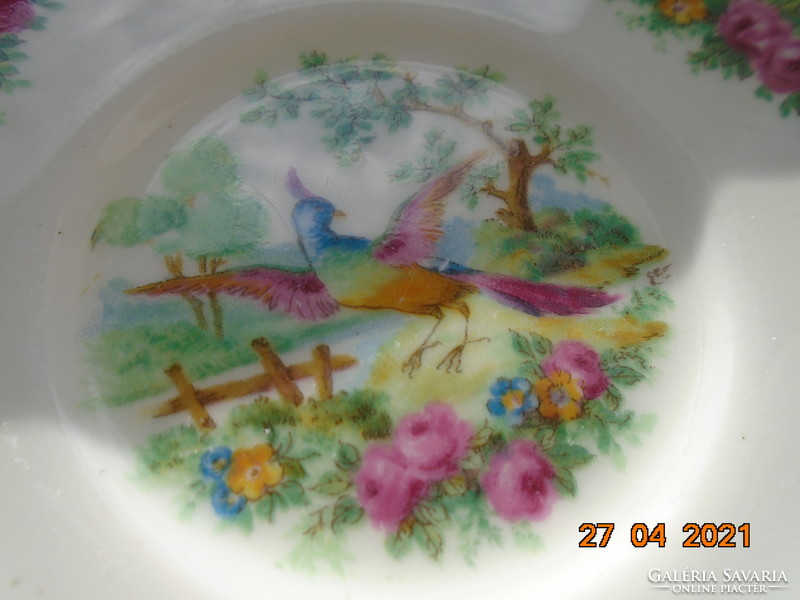 FOLEY BONE CHINA E.BRAIN Paradicsom madár mintás tányér