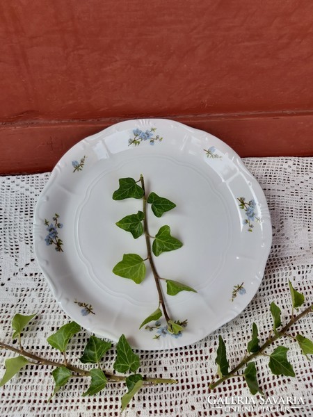 Beautiful Zsolnay blue peach blossom cake cookie sets plates nostalgia pieces