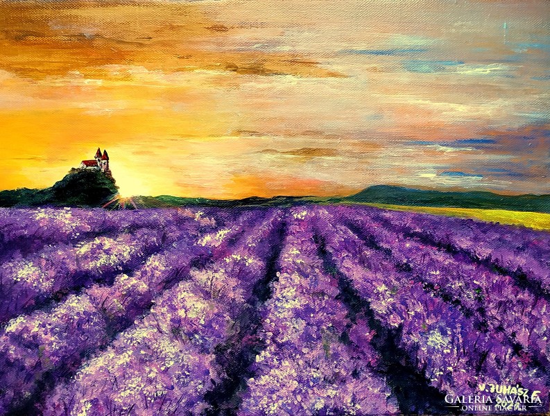 V. Juhász edit: lavender field in Tihany