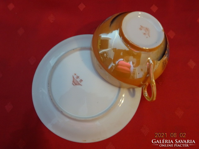 Japán porcelán, négyszemélyes teáskészlet, 11 darabos. Vanneki!