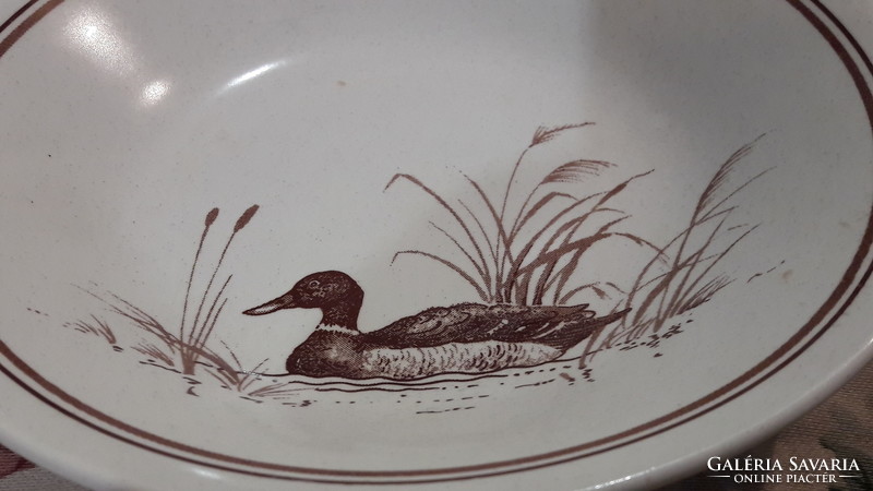 Duck plate