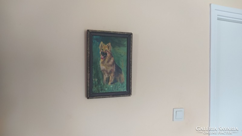 (K) beautiful dog painting 24x34 cm signed with frame