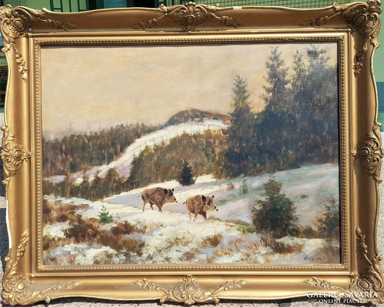 Olgyai ferenc / wild boars in the winter forest