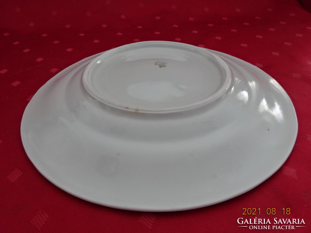 Zsolnay porcelain flat plate, antique, printed pattern, white, diameter 25 cm. Jokai.