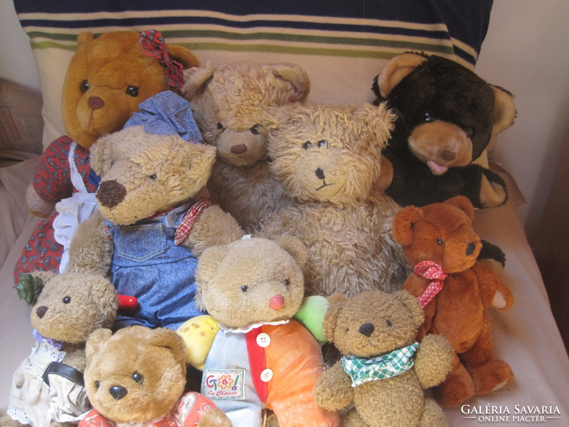 Pack of 10 teddy bears! 2.