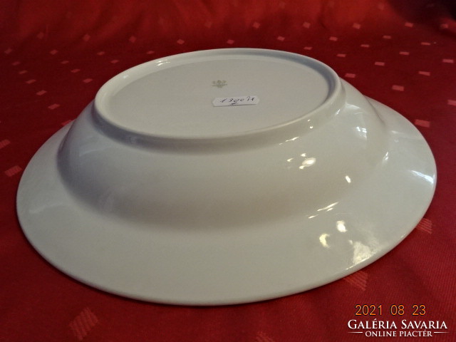 Deep porcelain plate from Höllóháza, diameter 24 cm. He has!