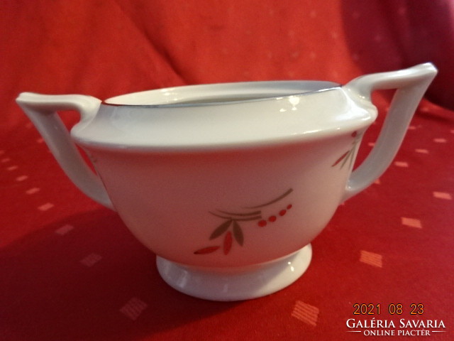 Mz Czechoslovak porcelain, antique sugar bowl, marked: 1880-3. He has!