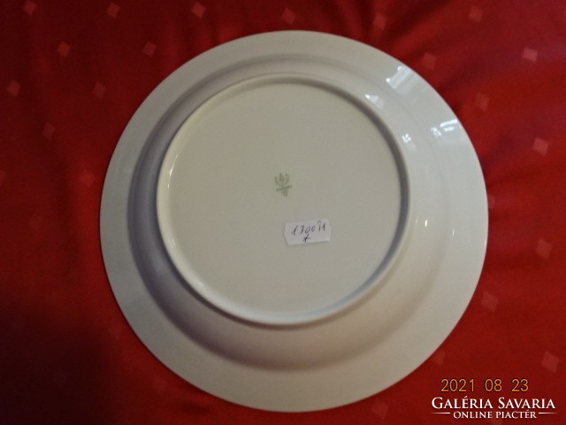 Deep porcelain plate from Höllóháza, diameter 24 cm. He has!
