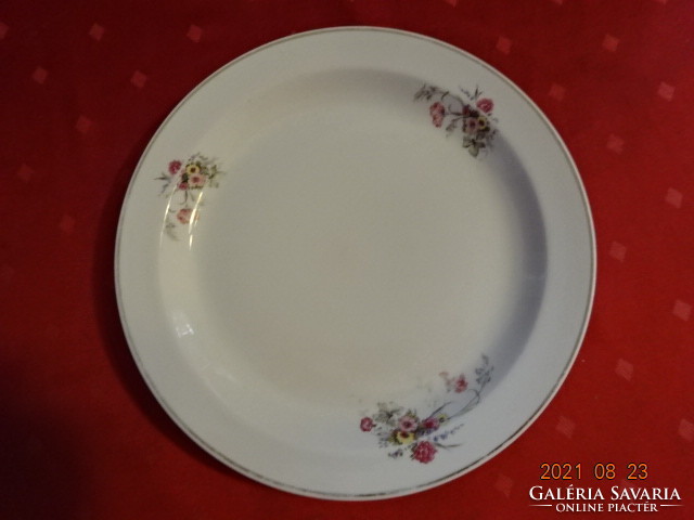 Raven Háza porcelain flat plate, diameter 24.8 cm. He has!