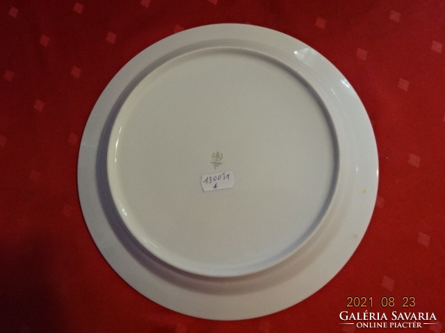 Raven Háza porcelain flat plate, diameter 24.8 cm. He has!