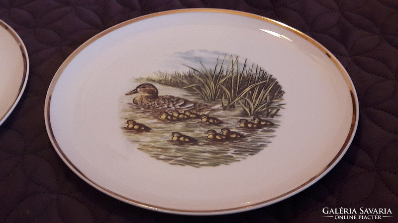2pcs bird, duck porcelain plate, wall plate